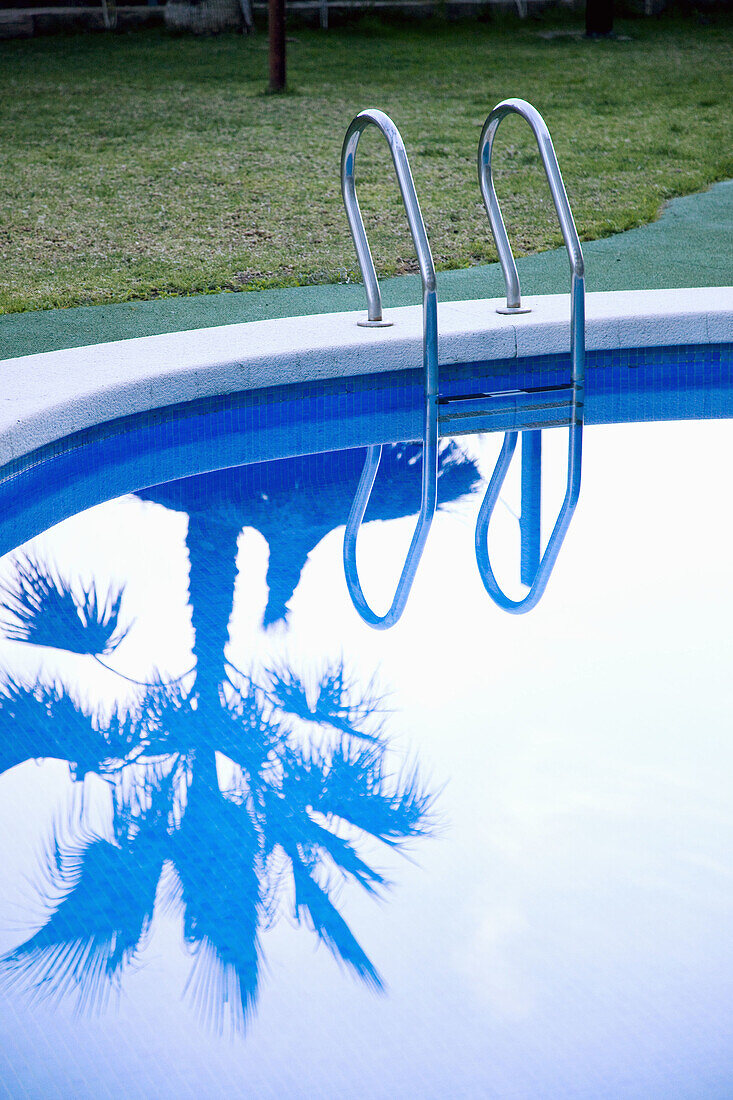 reflection of a palm tree in a pool