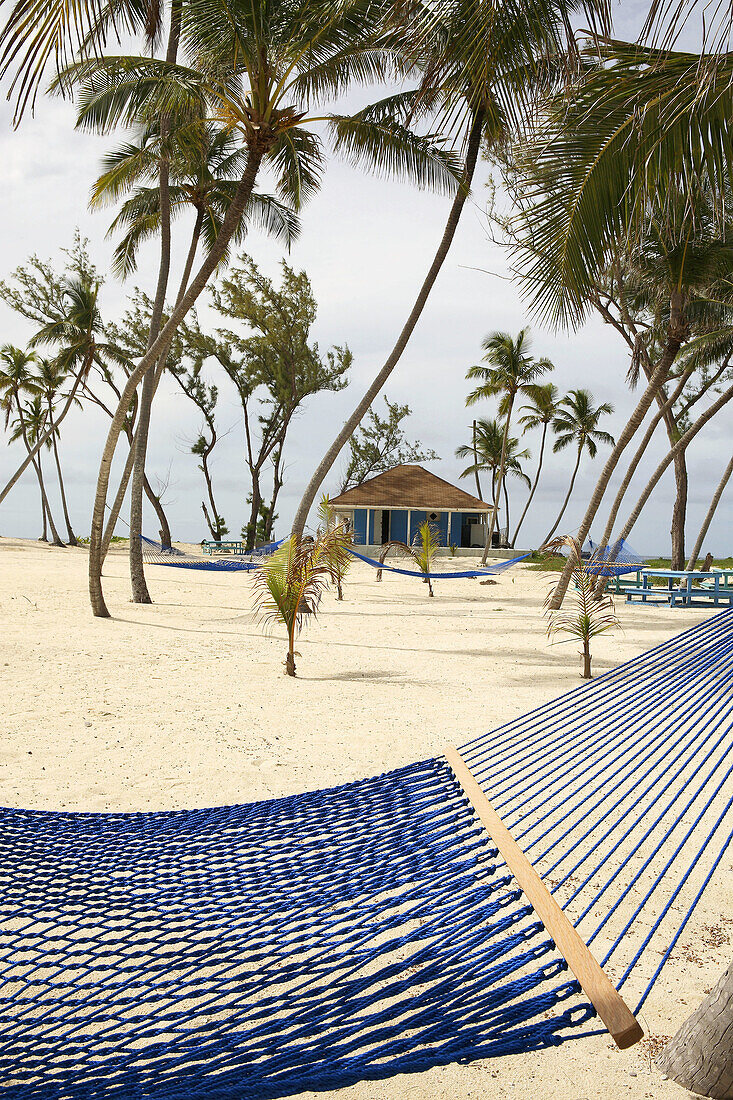 Bahamas Islands Blue Lagoon Island Beach