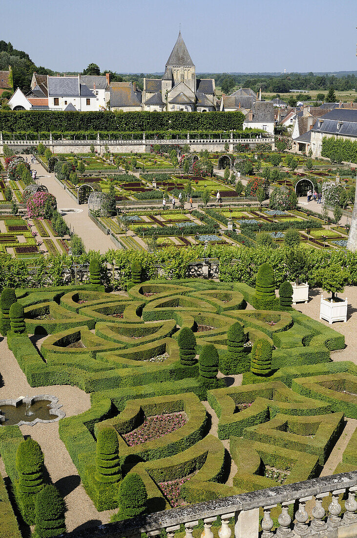 France,  Villandry 37  Ornamental and vegetable gardens in castle of Villandry gardens