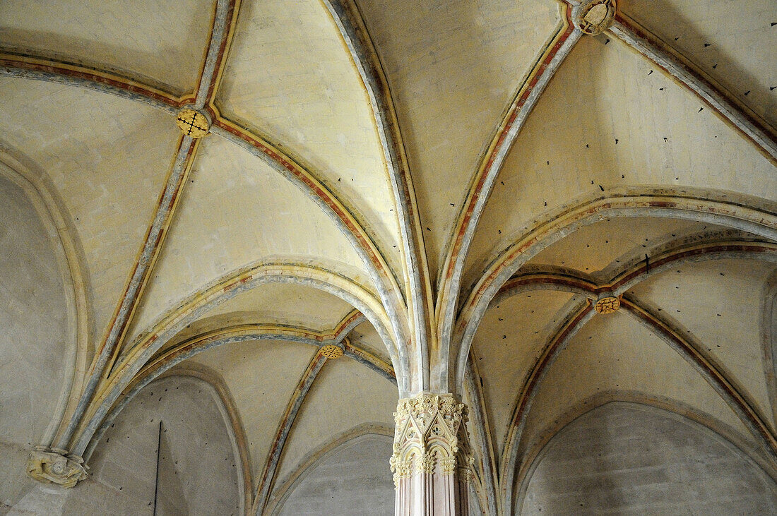 France,  Vincennes 94  Vincennes castle,  decorated ceiling in the royal bedroom
