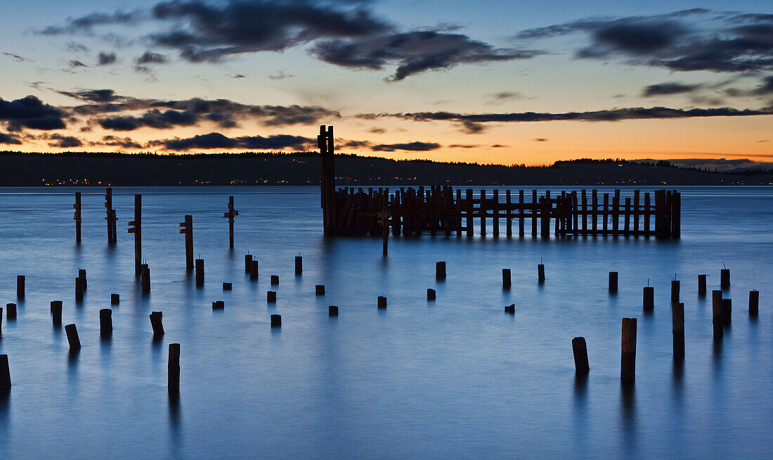 Old pilings at Titlow Beach,  Tacoma,  Washington