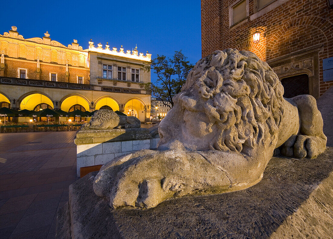Poland Krakow,  Lion by Town Hall Tower at Main Market Square
