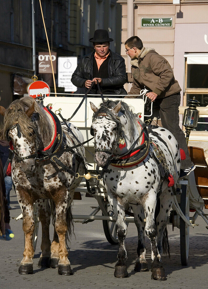 Poland Krakow Carriage