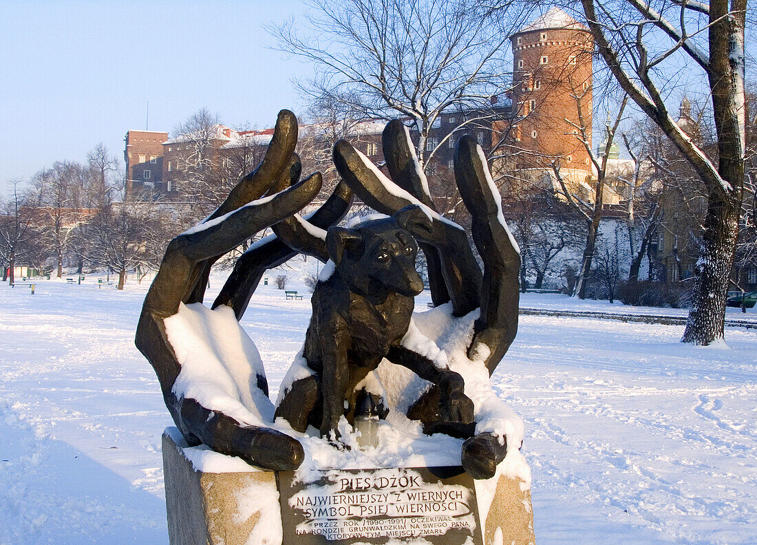 Poland,  Krakow,  monument to dog named Dzok,  winter