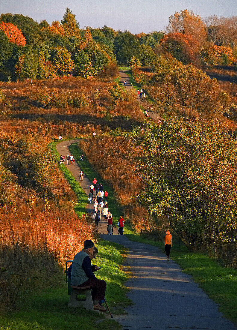 Road at fall