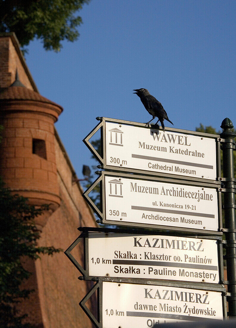 Poland,  Krakow,  signs