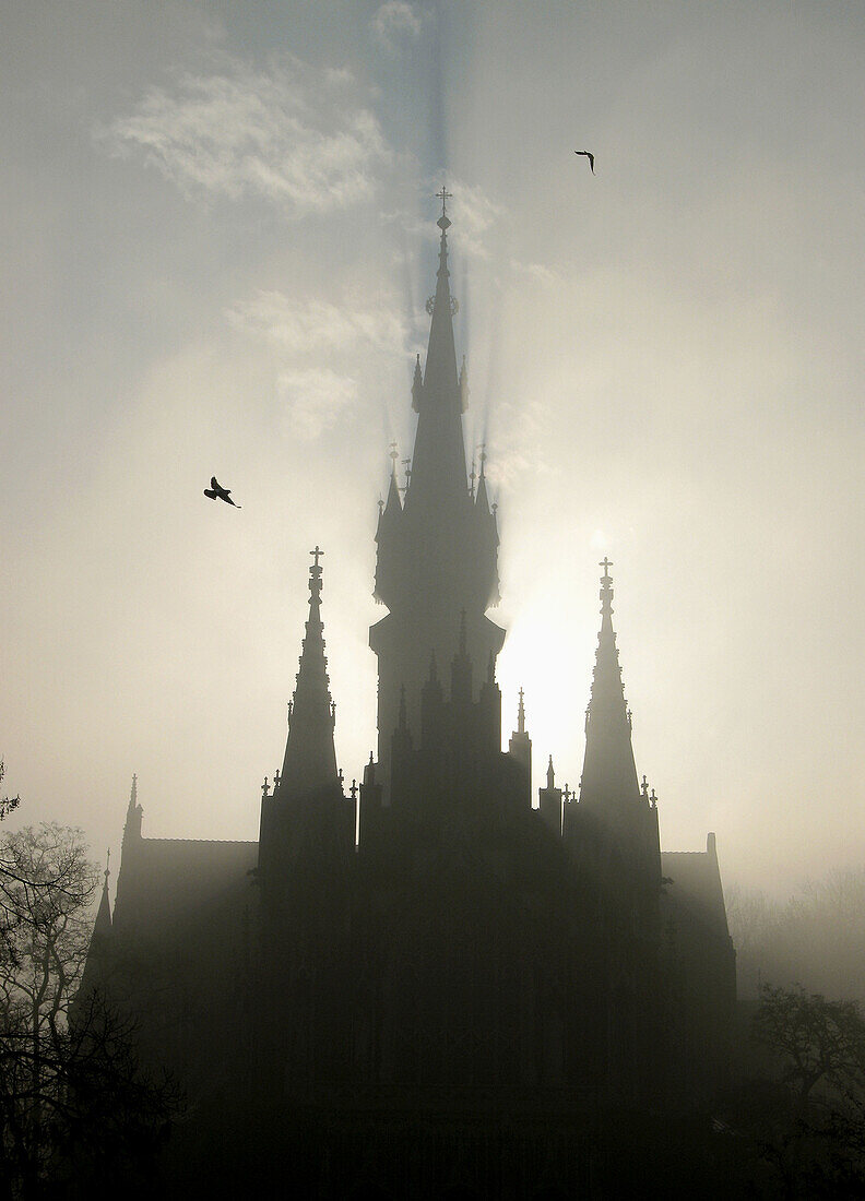 Poland,  Krakow,  Podgorze district,  St Josef´s Church in mist,  birds