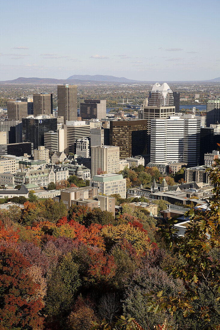 Canada,  Quebec,  Montreal,  skyline,  autumn foliage