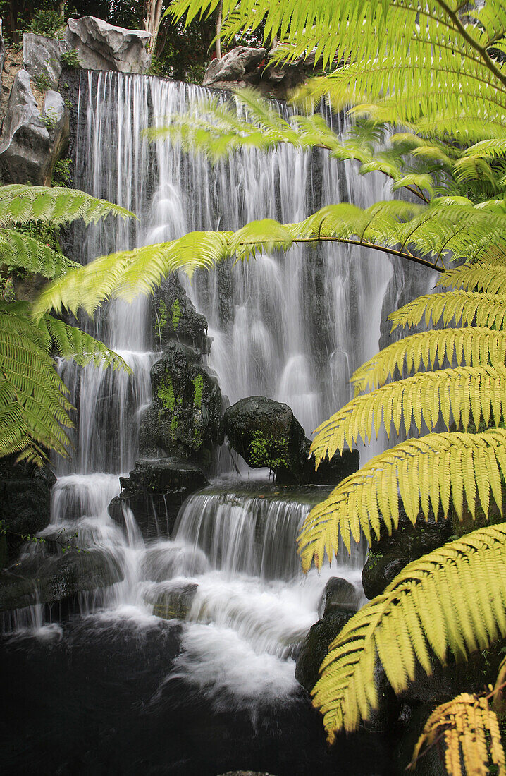 Taiwan,  Taipei,  Longshan Temple,  garden,  waterfall