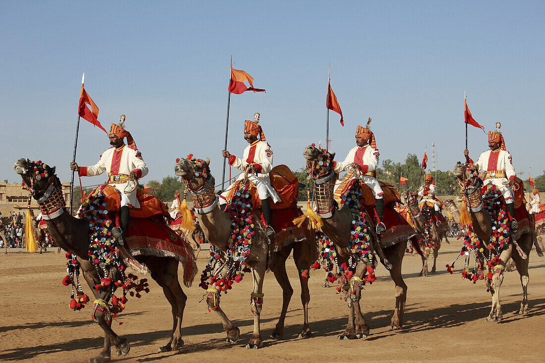 India,  Rajasthan,  Jaisalmer,  Desert Festival,  camel tattoo show