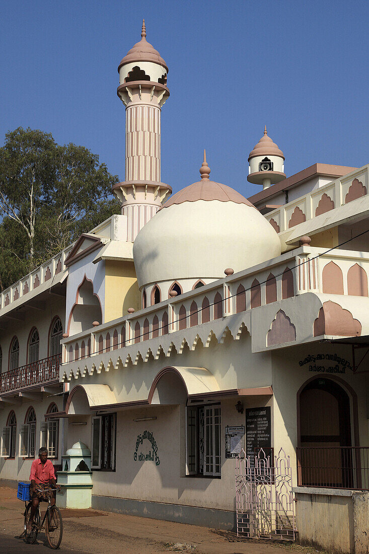 India,  Kerala,  Alappuzha,  Alleppey,  Mosque