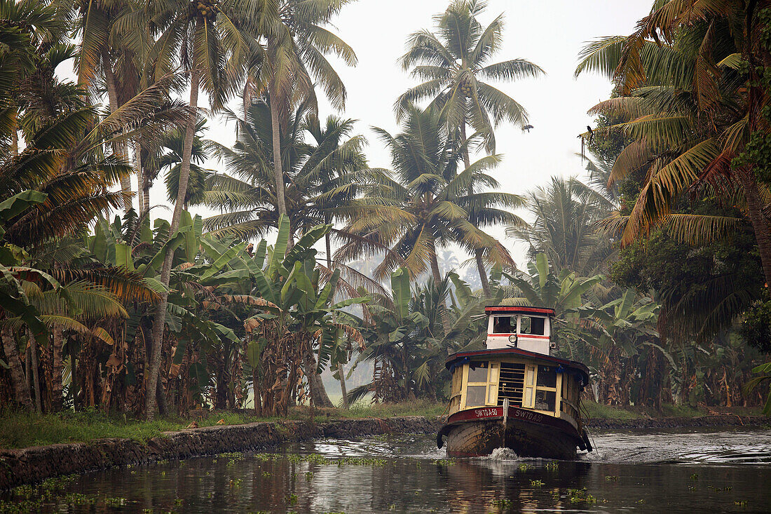 India,  Kerala,  Backwaters,  motorboat,  landscape,  scenery