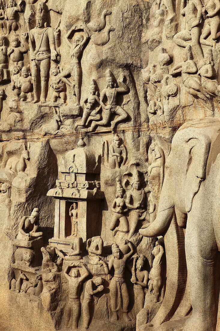 India,  Tamil Nadu,  Mamallapuram,  Mahabalipuram,  Arjuna´s Penance