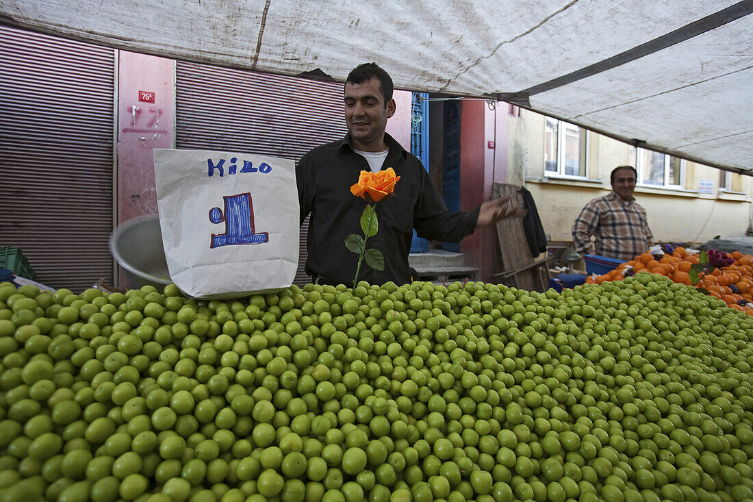 Obsthändler auf einem Wochenmarkt in den Gassen von Tarlabasi unterhalb Stadtviertel Beyoglu, Verkäufer, einzelne Rose, mit Planen überdachter Marktstand, grüne Pflaumen, Istanbul