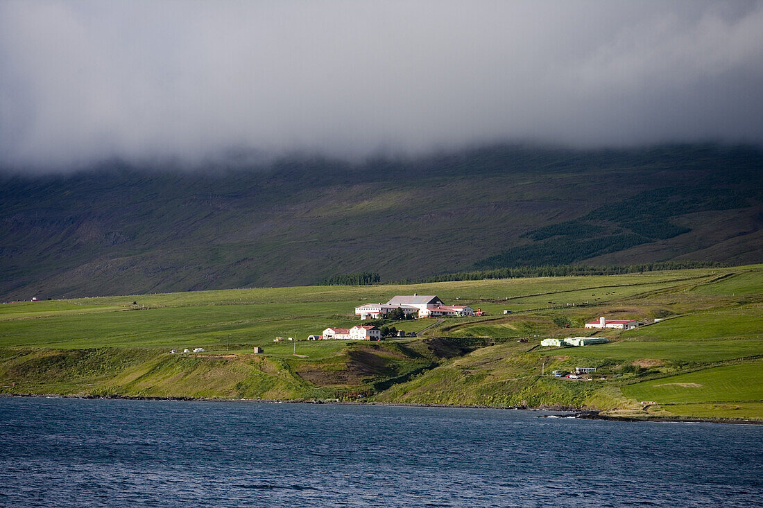 Farm am Ufer des Eyjafjördur Fjord, Nordurland Eystra, Island, Europa