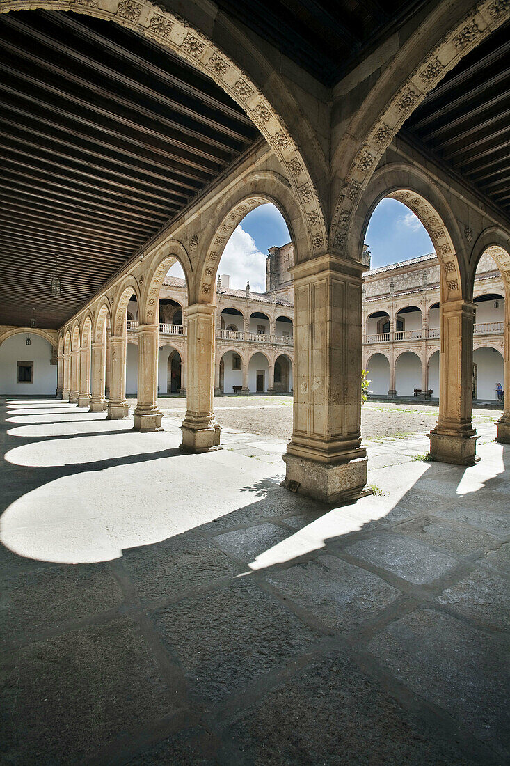 Cloister of the Colegio Mayor de Fonseca (16th century),  Salamanca. Castilla-Leon,  Spain