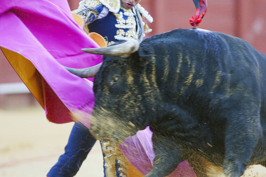 Bullfighting,  Maestranza bullring,  Sevilla. Andalucia,  Spain
