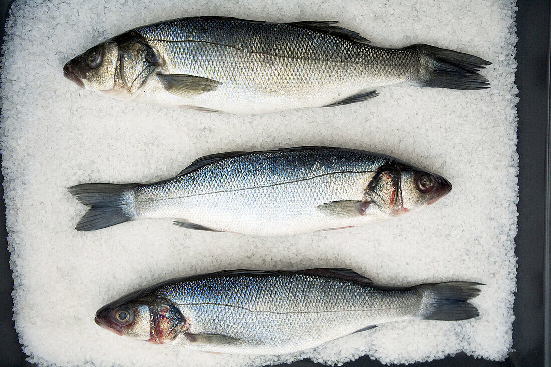 Sea bass on salt bed