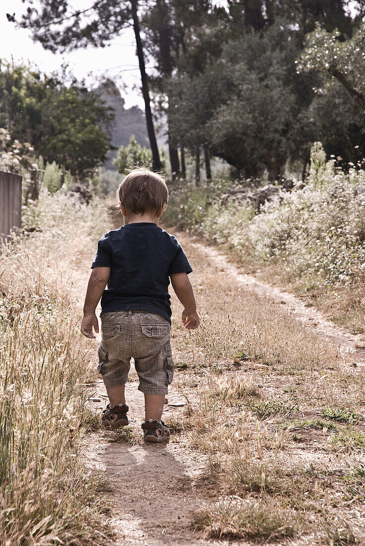 niño paseando por el campo
