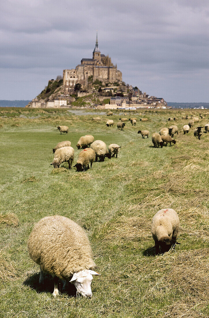 Mont Saint-Michel. Normandy,  France