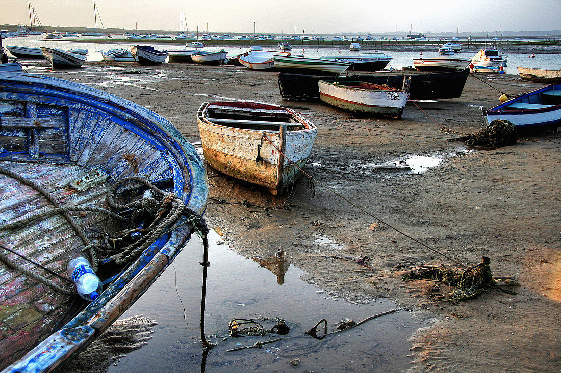 Barcos varados en el puerto de Santi Petri,  Chiclana,  Cadiz,  Andalucía,  España.,  Boats stranded at the port of Santi Petri,  Chiclana,  Cadiz,  Andalucia,  Spain.