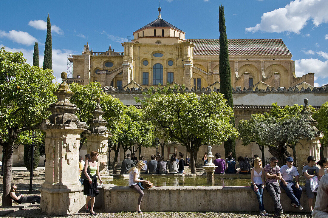 Great Mosque,  Cordoba. Andalusia,  Spain,  2009