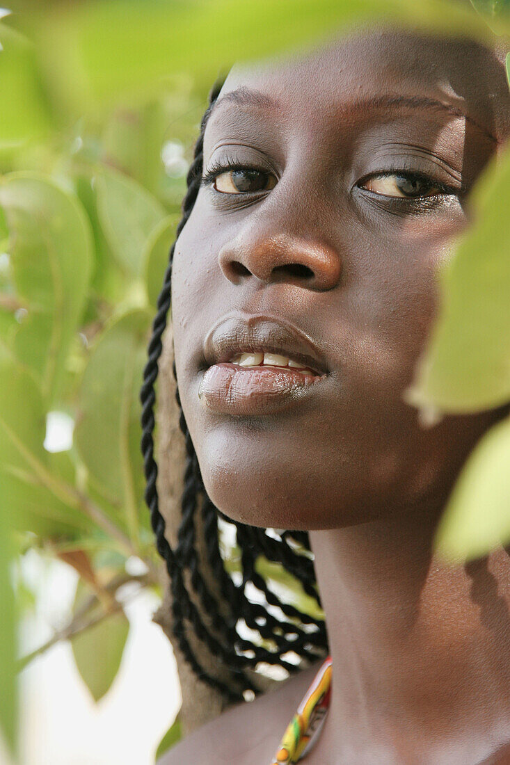 Afrika, Ausdruck, Casamance, Farbe, Frau, Frauen, Mädchen, Miene, Mode, Portrait, Portraits, Porträt, Porträts, Schwarze, Senegal, Sinnlich, Sinnlichkeit, Weiblich, Westen, XT8-837865, agefotostock 