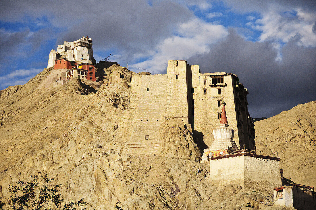 Namgyal Tsemo gompa and Leh Palace  Leh,  Ladakh,  India