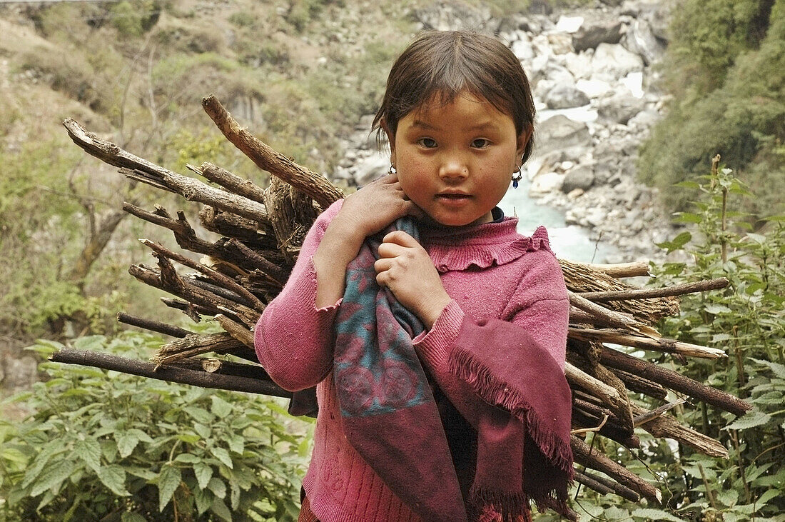 A girl collecting firewood along the Annapurna Circuit,  Nepal