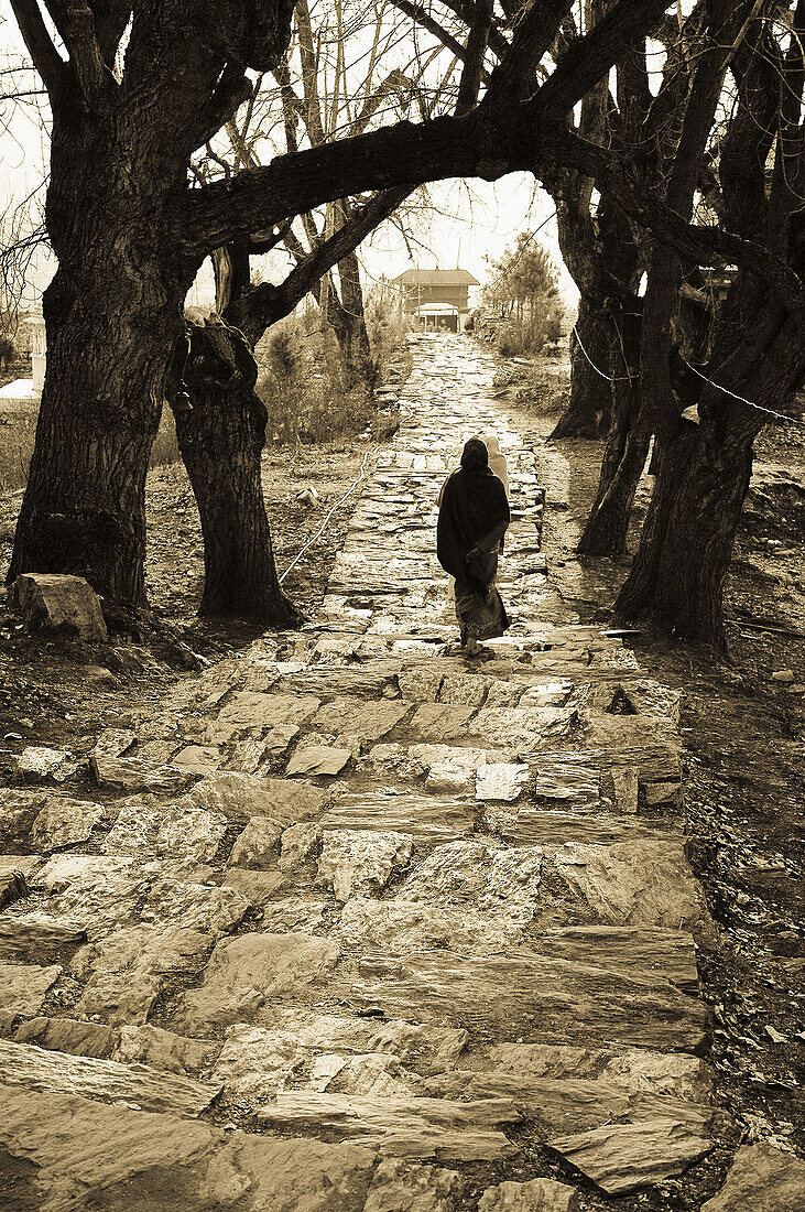 The path to the sacred temple in Muktinath,  Nepal