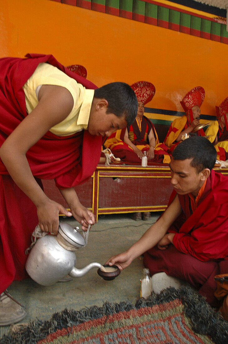 Novice monk serving tea Lama Yuru,  Ladakh,  India