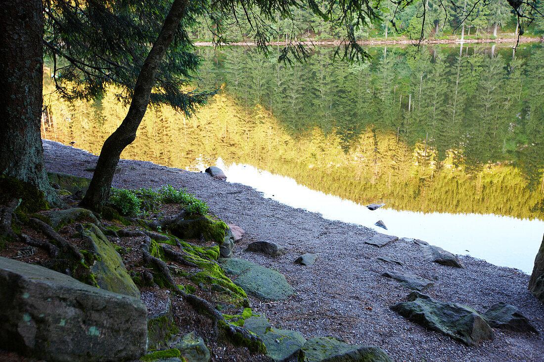 Lake Mummelsee, Seebach, Black Forest, Baden-Wuerttemberg, Germany