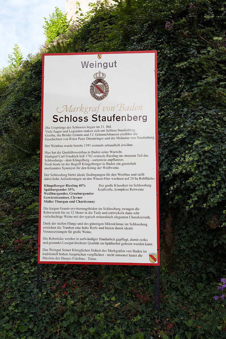Information sign, Staufenberg castle, Durbach-Staufenberg, Black Forest, Baden-Wuerttemberg, Germany
