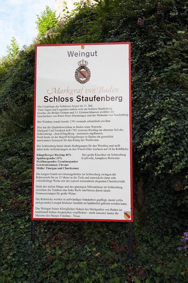 Infotafel, Schloss Staufenberg, Durbach-Staufenberg, Schwarzwald, Baden-Württemberg, Deutschland