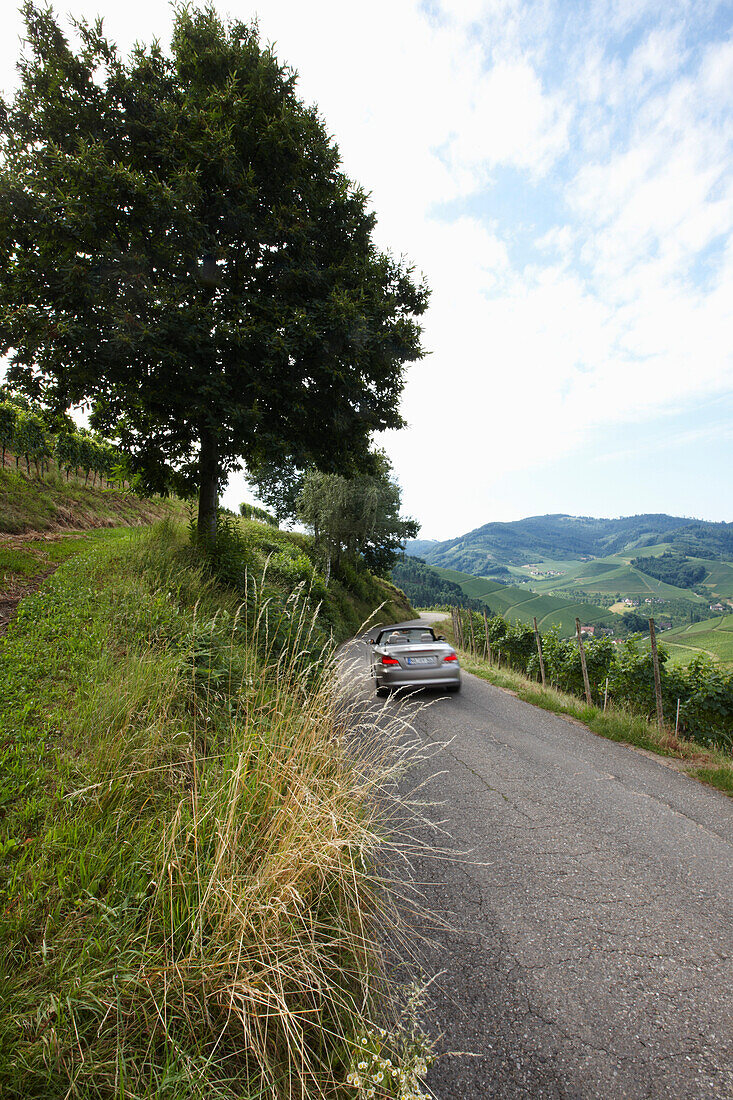 Cabrio auf einer Landstraße, Durbach-Staufenberg, Schwarzwald, Baden-Württemberg, Deutschland