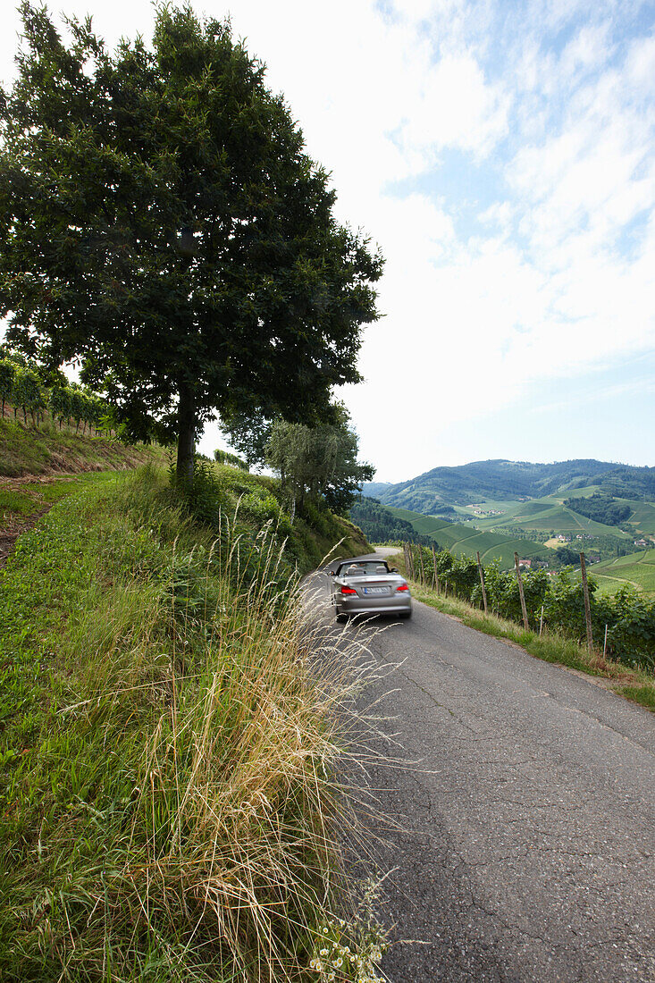 Convertible passing country road,  Durbach-Staufenberg, Black Forest, Baden-Wuerttemberg, Germany