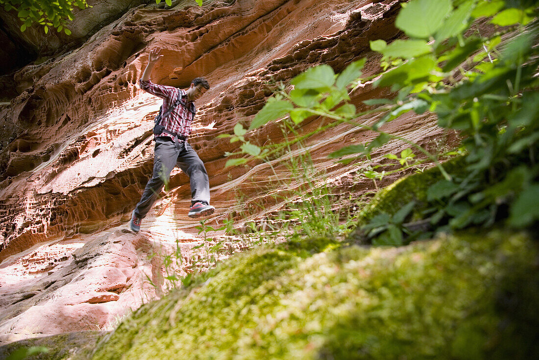 Hiker jumping from rock, Wasigenstein, Alsace, France