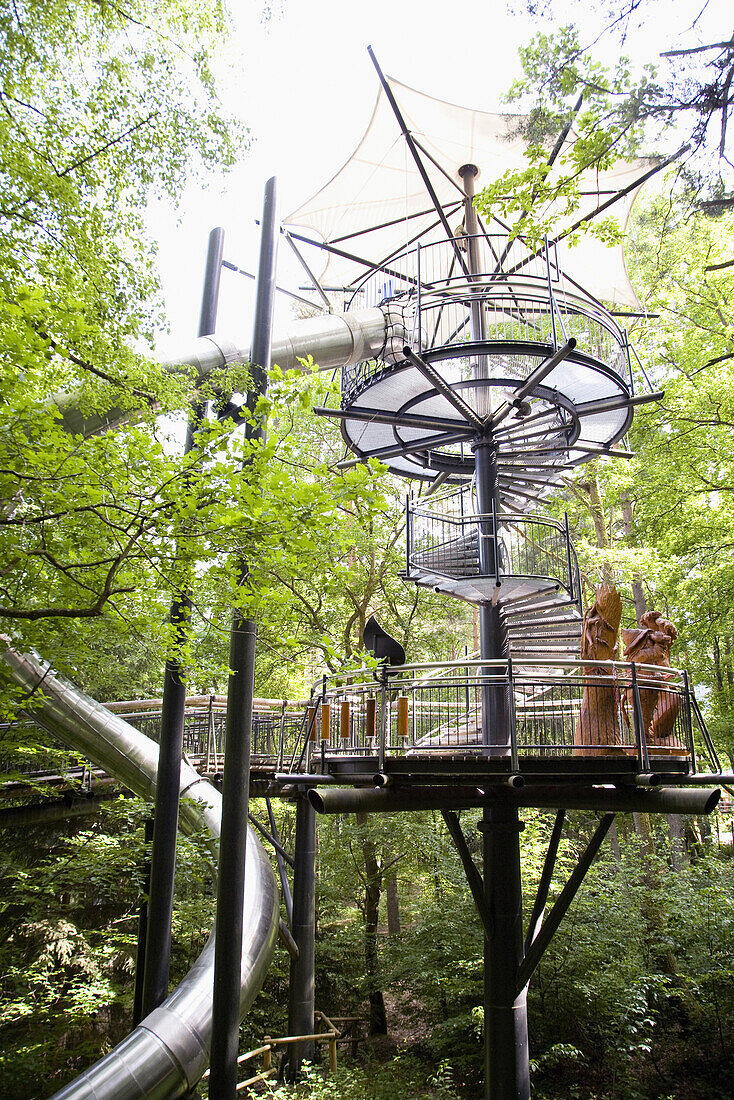 Baumkronenpfad, Biosphärenhaus, Fischbach bei Dahn, Pfälzer Wald, Rheinland-Pfalz, Deutschland