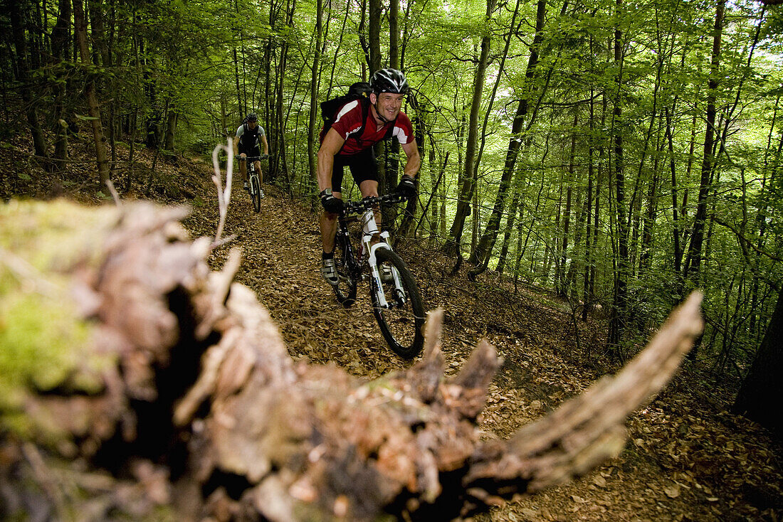 Mountainbikers passing forest trail, Palatine Forest, Rhineland-Palentine, Germany