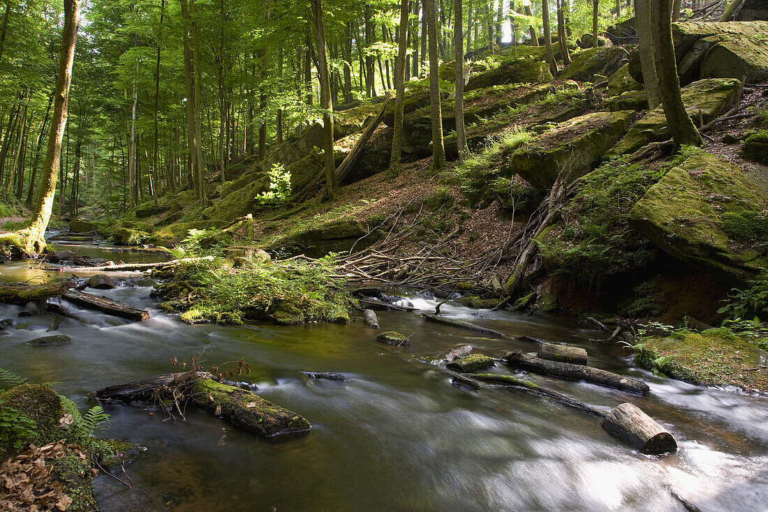 Moosalb durchfließt Karlstalschlucht, Pfälzerwald, Rheinland-Pfalz, Deutschland