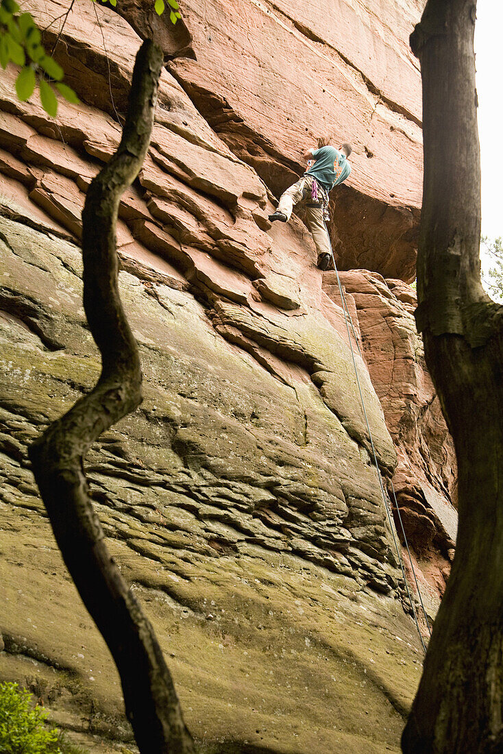 Mann klettert an Sandsteinfelsen, Bärenbrunnerhof, Pfälzerwald, Rheinland-Pfalz, Deutschland