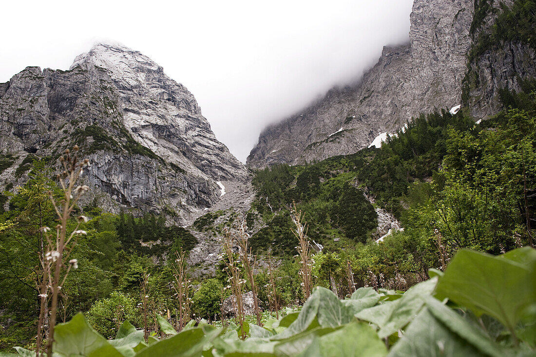 Scenery near Hans-Berger-Hut, Kaisertal, Ebbs, Tyrol, Austria