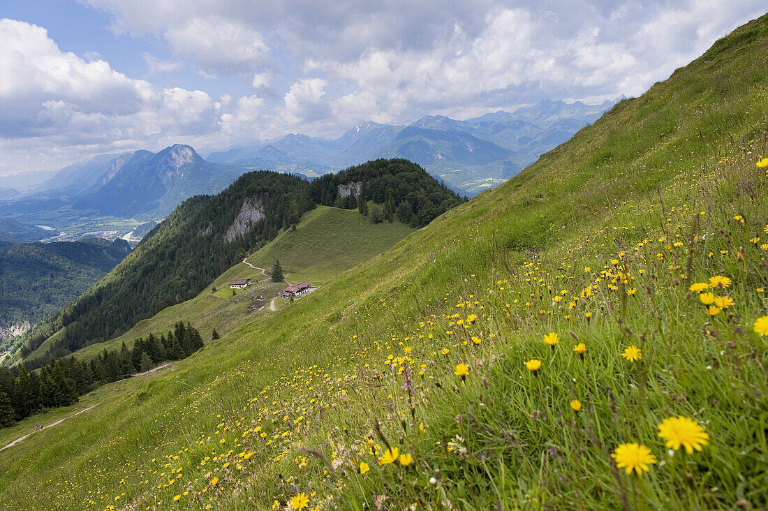 Landschaft bei der Ritzau Alm, Kaisertal, Ebbs, Tirol, Österreich