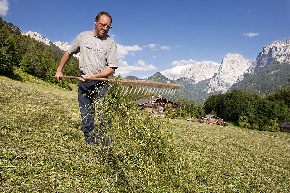 Farmer hay turning, farm Hinterkaiserhof, Kaisertal, Ebbs, Tyrol, Austria