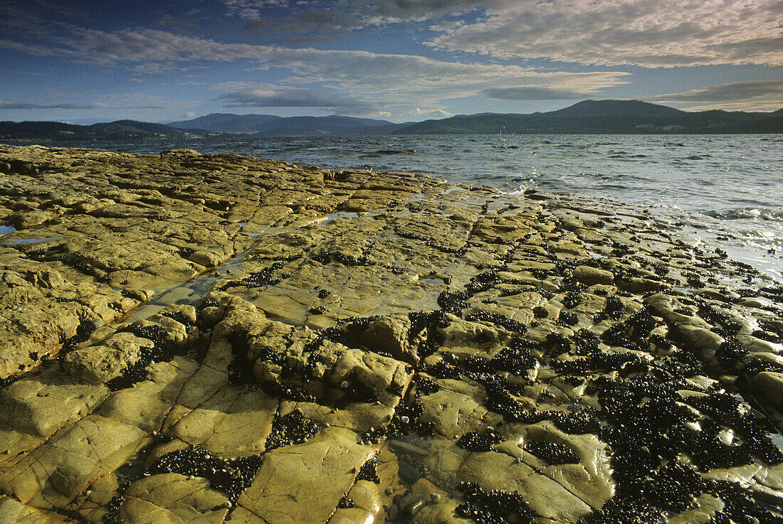 Rocky banks of Huon River in the morning, Tasmania, Australia