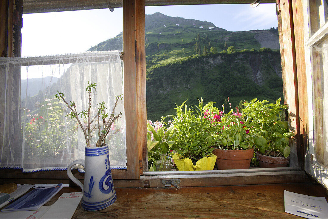 Blick aus dem Küchenfenster der Laufbichl Alpe, Hintersteiner Tal, Bad Hindelang, Allgäu, Schwaben, Bayern, Deutschland