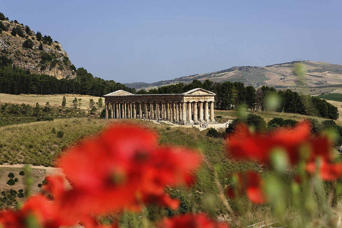 Dorischer Tempel, Segesta, Sizilien, Italien