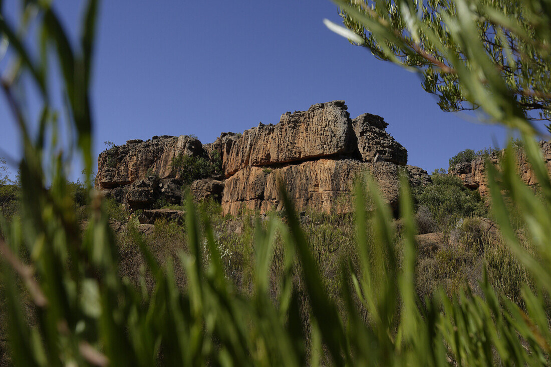 Zederberge, Westkap, Südafrika