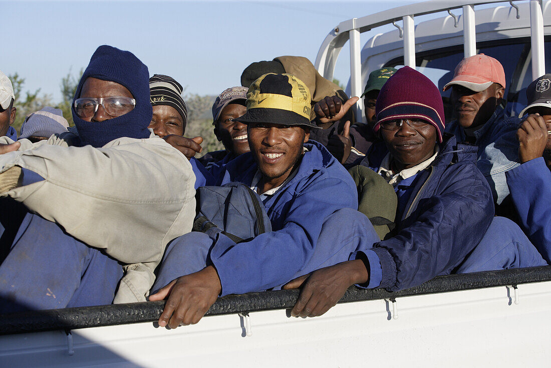 Arbeiter auf der Ladefläche von einem Kleintransporter, Gansbaai, Westkap, Südafrika