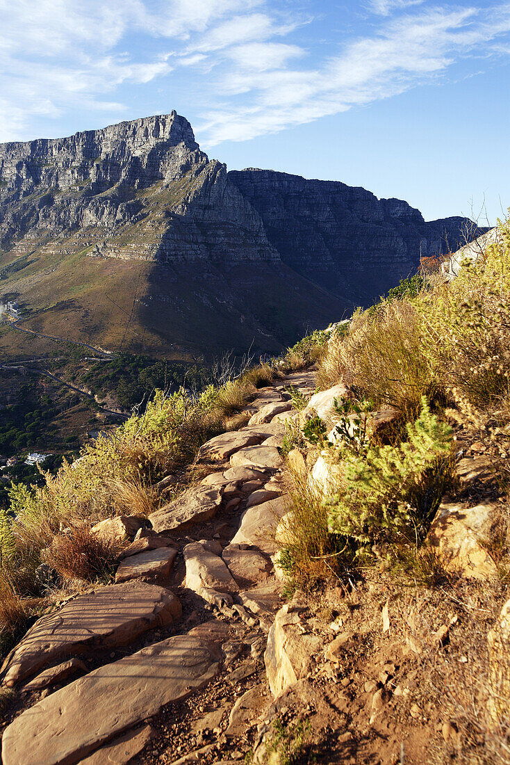 Blick zum Tafelberg, Lion’s Head, bei Kapstadt, Südafrika